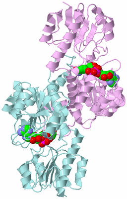 Image Biological Unit 4