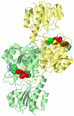 Image Biological Unit 2