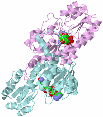 Image Biological Unit 3