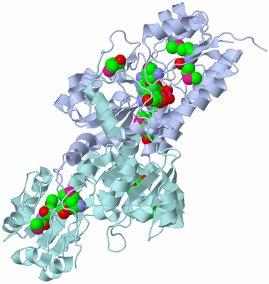 Image Biological Unit 1