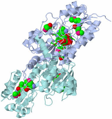 Image Biol. Unit 1 - sites