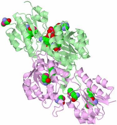 Image Biological Unit 2