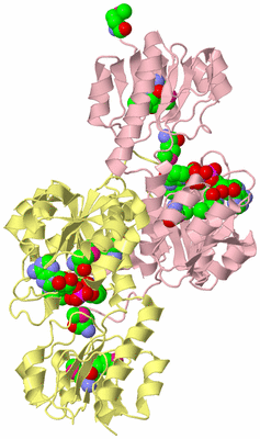 Image Biological Unit 3