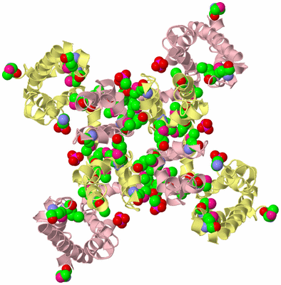 Image Biological Unit 2