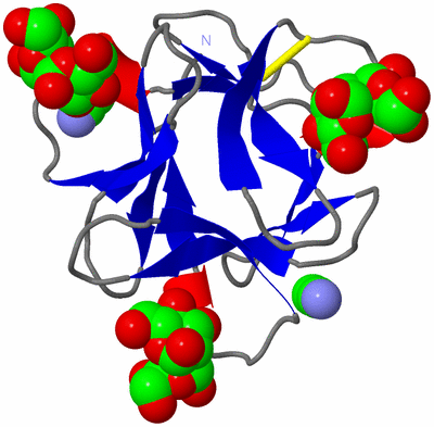 Image Asym./Biol. Unit