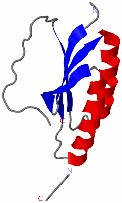 Image Asymmetric Unit