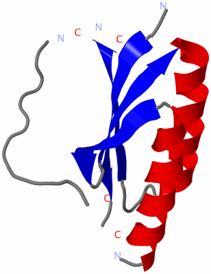 Image Asymmetric Unit