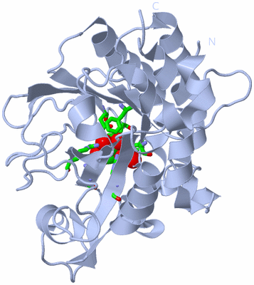 Image Biol. Unit 1 - sites