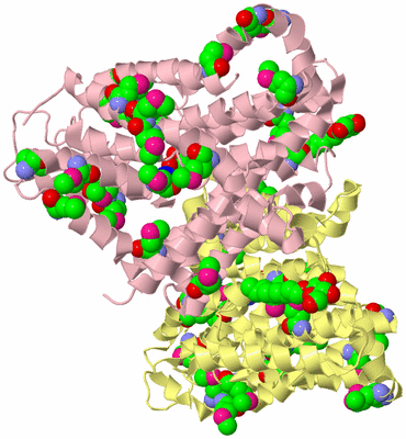 Image Biological Unit 1