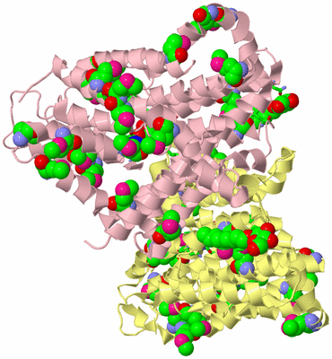 Image Biol. Unit 1 - sites