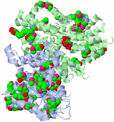 Image Biological Unit 2