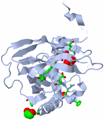 Image Biol. Unit 1 - sites