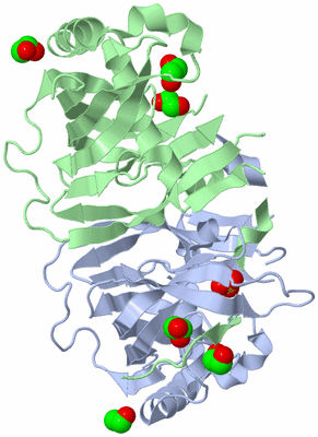 Image Biological Unit 3