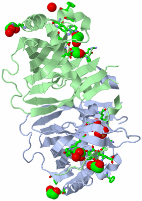 Image Asym. Unit - sites