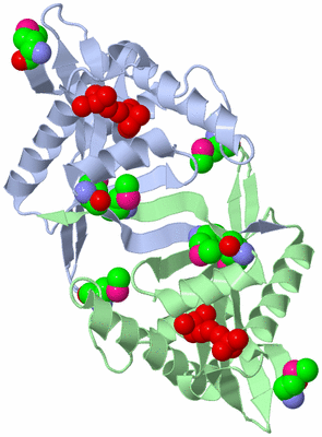 Image Asym./Biol. Unit