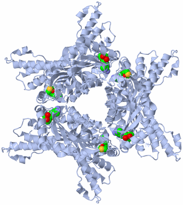 Image Biological Unit 1