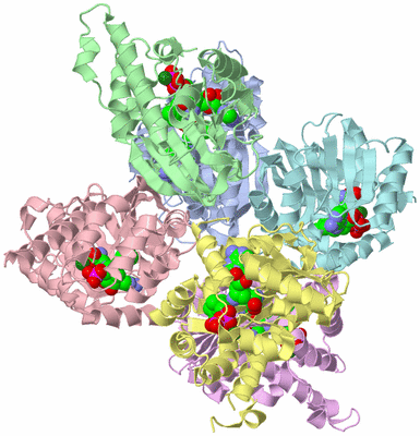 Image Biological Unit 1