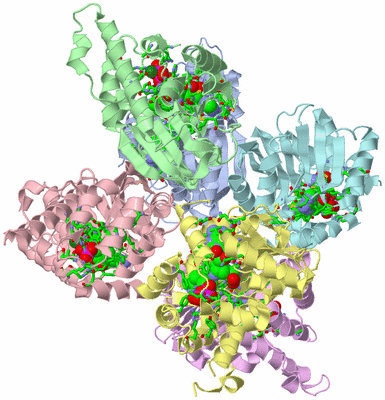 Image Biol. Unit 1 - sites