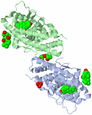 Image Biological Unit 1