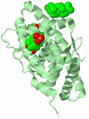 Image Biological Unit 3