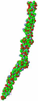 Image Asymmetric Unit