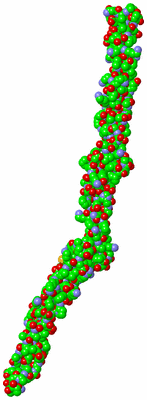 Image Asymmetric Unit