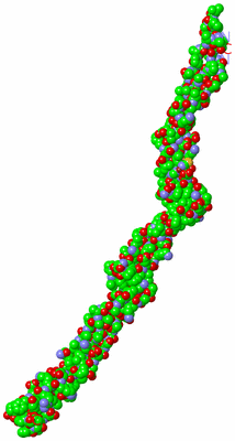 Image Asymmetric Unit