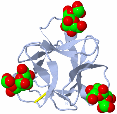 Image Biological Unit 1