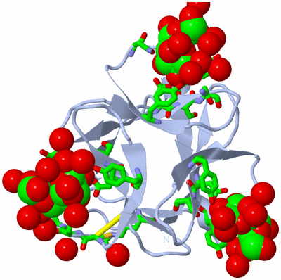 Image Biol. Unit 1 - sites