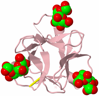 Image Biological Unit 2