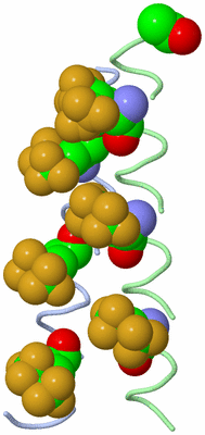 Image Asymmetric Unit