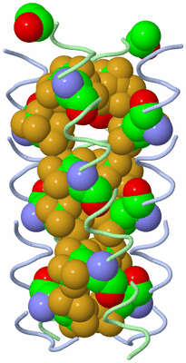 Image Biological Unit 1