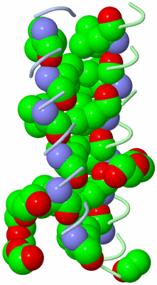 Image Asymmetric Unit