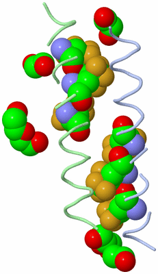 Image Asymmetric Unit