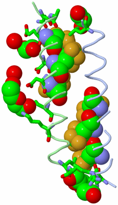 Image Asym. Unit - sites