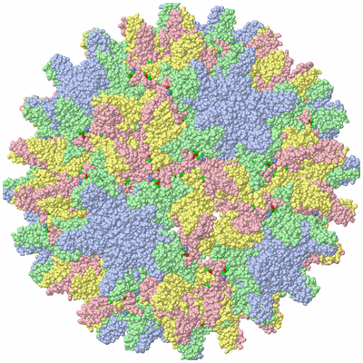 Image Biol. Unit 1 - sites