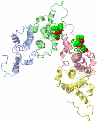 Image Asym. Unit - sites