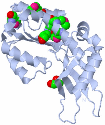 Image Biological Unit 1