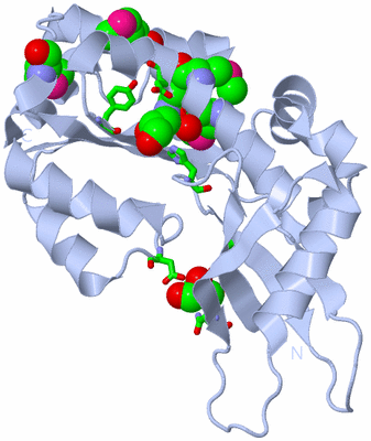 Image Biol. Unit 1 - sites