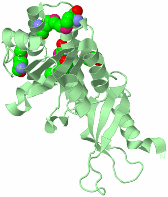 Image Biological Unit 2