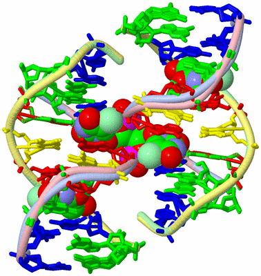 Image Biological Unit 1