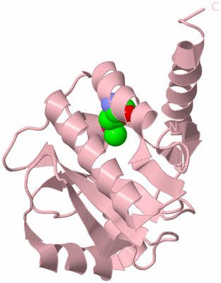 Image Biological Unit 3