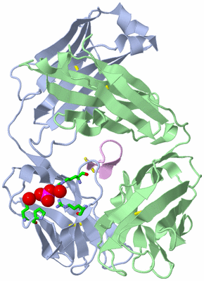 Image Biol. Unit 1 - sites