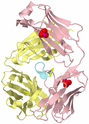 Image Biological Unit 2