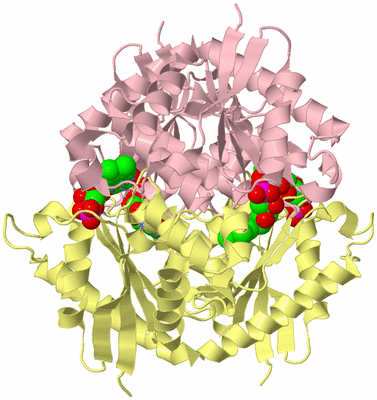 Image Biological Unit 2