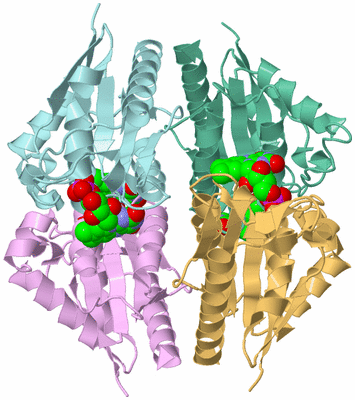 Image Biological Unit 3