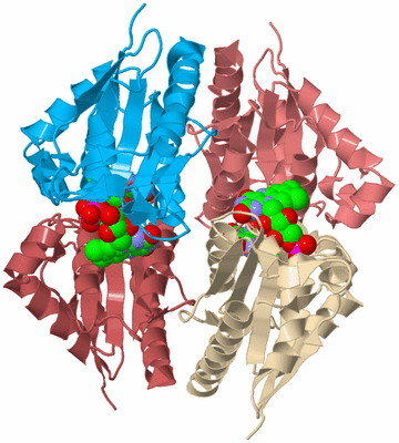 Image Biological Unit 4