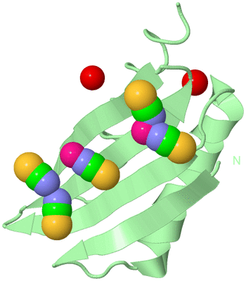 Image Biological Unit 2