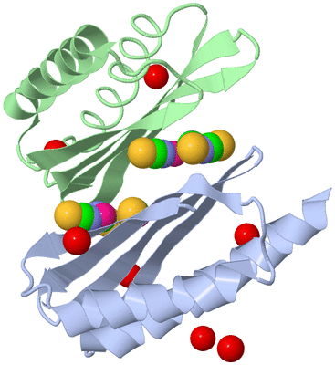 Image Biological Unit 3