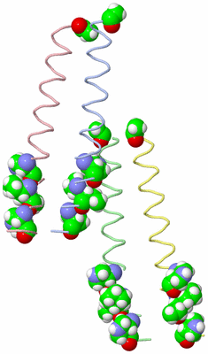 Image Asymmetric Unit